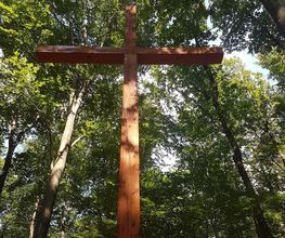 FriedWald Meroder Wald Bild 10