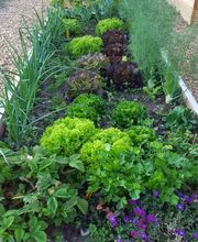 Ecole Saint-Exupéry Bild 7