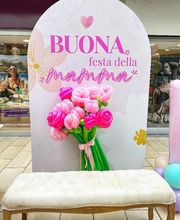 Gallery Cliente