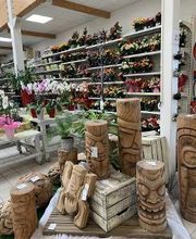 Bricomarché Joinville image 15