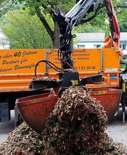 Urban Münchner Baumpflege GmbH Bild 5