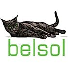 Belsol-Mitterer SA logo