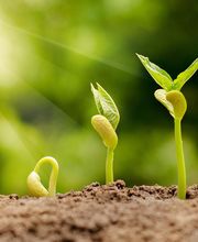 JOSE ANTONIO MOLINA imagen 6