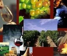 Vignobles Gillet image 2