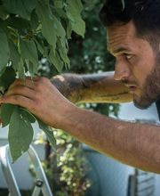 Swiss Green Estate Haljimi Bild 1