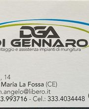 Gallery Cliente