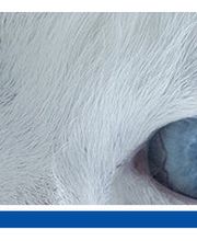 Kleintierpraxis am Heerbusch GmbH Bild 2