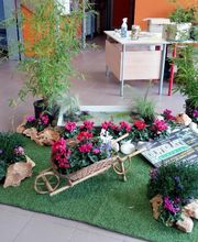 Gallery Cliente