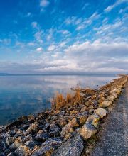 Burkhalter poissons aarberg gmbh Bild 4