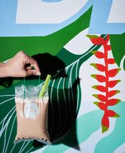 Die Die Must Try Beverage Co. image 12