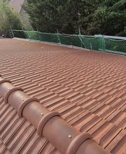 Vincent David image 3