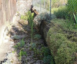 Entretien paysager image 11