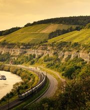 Weingut Höfling Bild 5