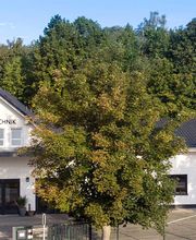WKN Datentechnik GmbH | IT-Systemhaus Bild 1