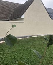 Flandres Enduits SARL image 3