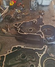 Old Skull Motors image 6