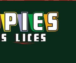 Copies Des Lices SARL image 3