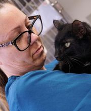 Family Pet Clinic Southampton image 3