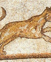 Linhardt Andreas Bild 6