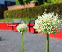 Käser Gartenbau AG Bild 5