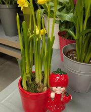 Au Fil des Saisons image 14