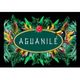 aguanilelogo.jpg