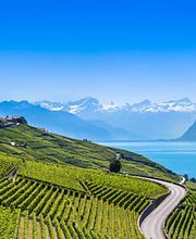 foxym - smart building engineering Bild 4