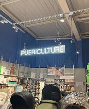 Orchestra AGNEAUX image 8