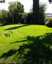 Végétal Fleurs Et Jardins image 2