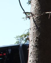 OFFROAD NETWORK Bild 3