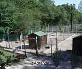 Canicat image 20