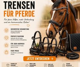 Pferdchen24 Bild 7