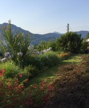 Art & Giardini Sagl Bild 9