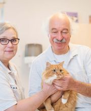 Tierarzt Möhnle Kehl, Fachtierärztliches Zentrum für Kleintiere Kehl-Hanauerland Bild 3