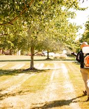 Mosquito Hero image 4