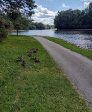 Audubon Parc image 15