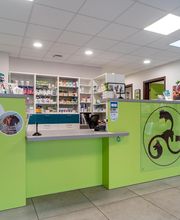 Clinique Vétérinaire de l'Isole image 7