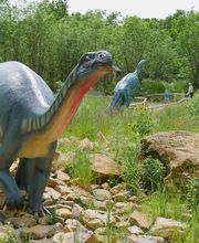 Dinosaurierpark Teufelsschlucht Bild 9