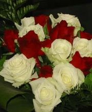 Audrey Fleurs image 17