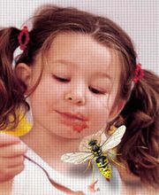 Zinner Christian Insektenschutzgitter Bild 1