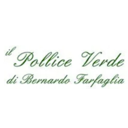 Il Pollice Verde  Tutto per Giardinaggio e Agricoltura logo