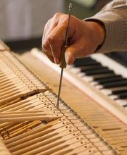 Klaviertechnik Tobehn Meisterwerkstatt Bild 8