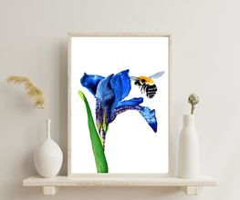 Bioartsense Aquarelle Bild 2