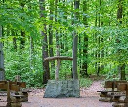 FriedWald Borchen-Nonnenbusch Bild 18