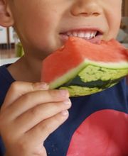 Tageskindergarten Froschkönig Bild 2