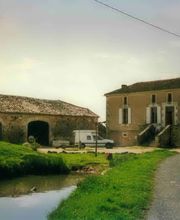 Boon Anthony image 2