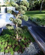 Ambiance Paysage image 6