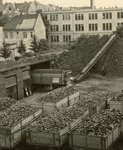 Firma anno 1953.jpg