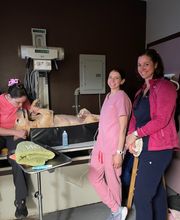 Veterinary Medical Center image 19