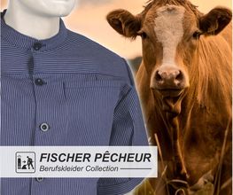 Fischer & Co AG Bild 5